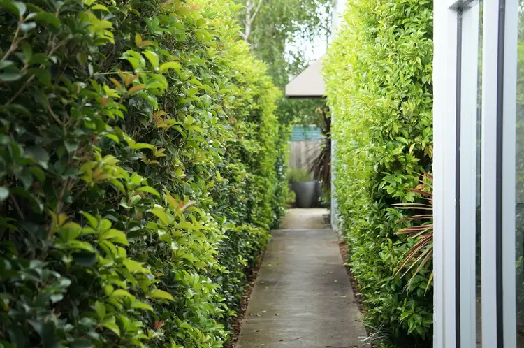 Sixth view of Homely apartment listing, 10/52 Pasley Street, South Yarra VIC 3141