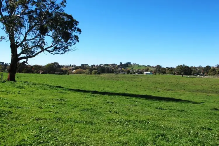 Sixth view of Homely land listing, 160 Forest Reefs Road, Millthorpe NSW 2798