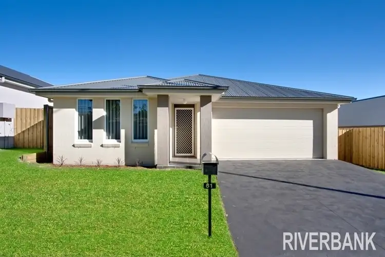 Main view of Homely house listing, 61 Lodges Rd, Narellan NSW 2567