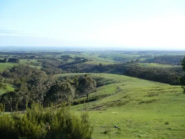 Main view of Homely rural property listing, 535 Bambra Cemetery Road, Bambra VIC 3241
