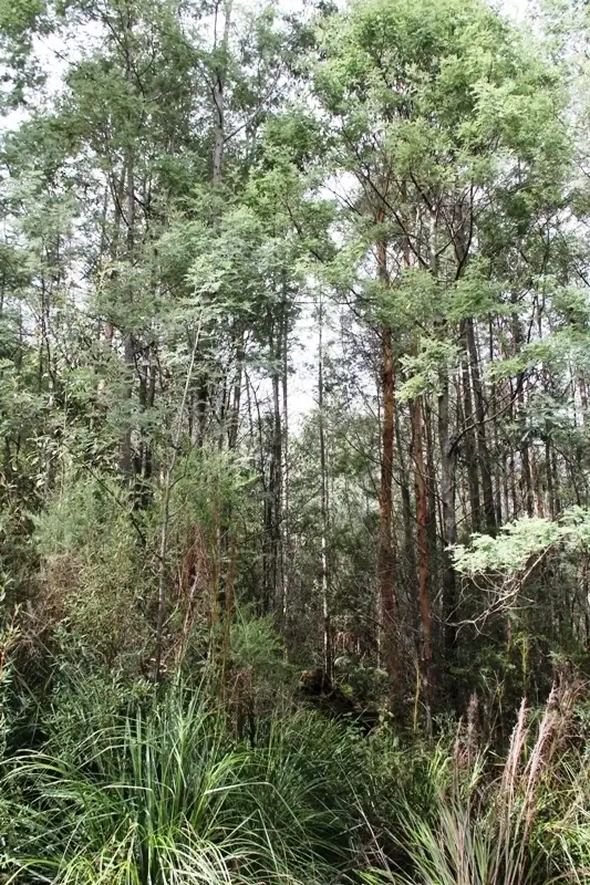 Third view of Homely land listing, Arve Road, Geeveston TAS 7116