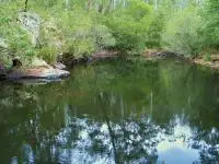 Second view of Homely rural property listing, 369 Devils Hole Road, Wyndham NSW 2550