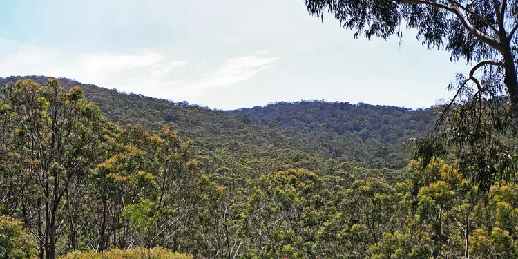Fourth view of Homely land listing, 8 Cartra Crescent, Kennett River VIC 3221