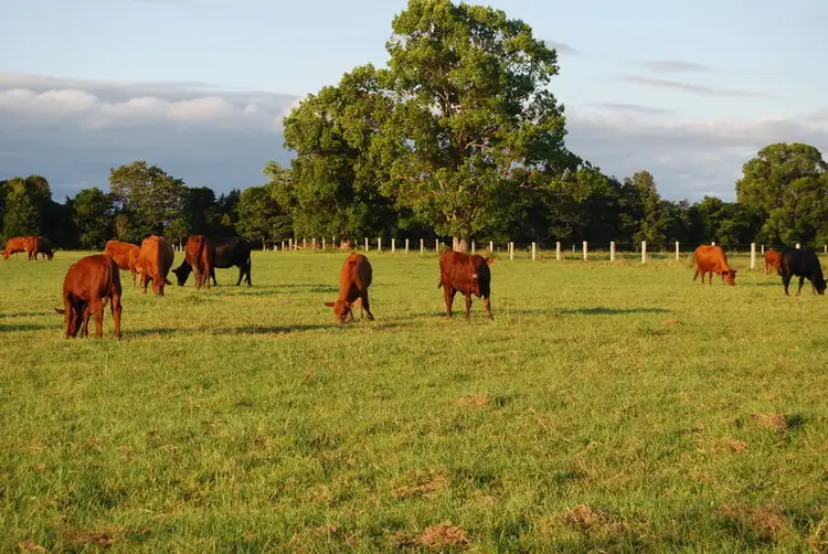 Third view of Homely rural property listing, Address available on request