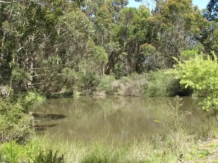 Second view of Homely house listing, 15 Waterfall Place, Denmark WA 6333