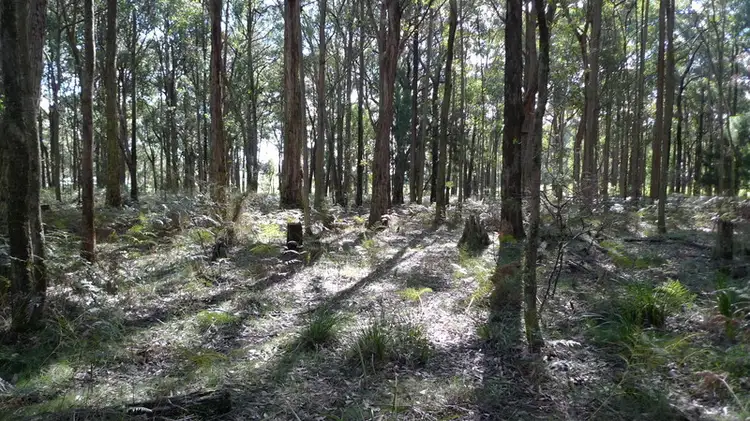 Sixth view of Homely land listing, 605 Daylesford-Trentham Road, Musk VIC 3461