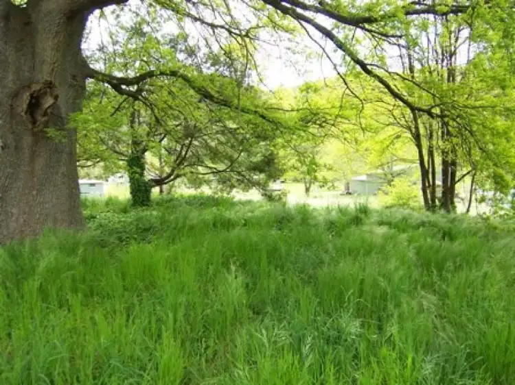 Third view of Homely land listing, 236 Great Alpine Road, Harrietville VIC 3741