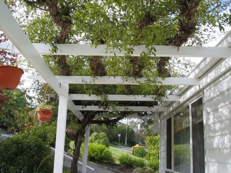 Fifth view of Homely house listing, 38 Malunna Road, Lindisfarne TAS 7015