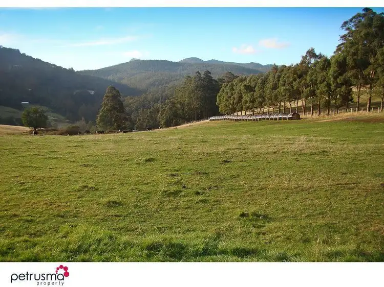 Lot 1 Hovingtons Road, Lower Longley TAS 7109