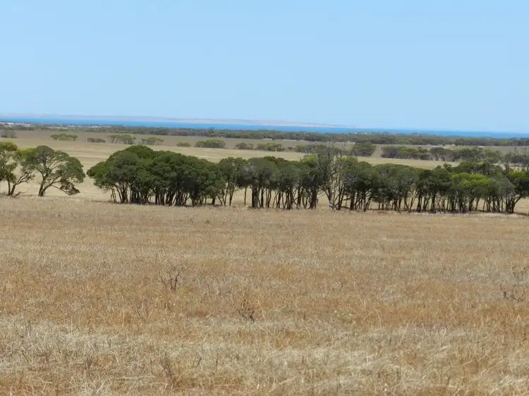 Second view of Homely rural property listing, Haslam Dog Fence Rd Haslam, Streaky Bay SA 5680