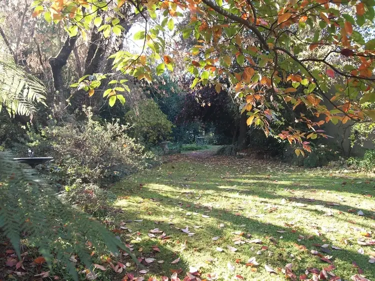 Seventh view of Homely house listing, 77 Gavan Street, Bright VIC 3741