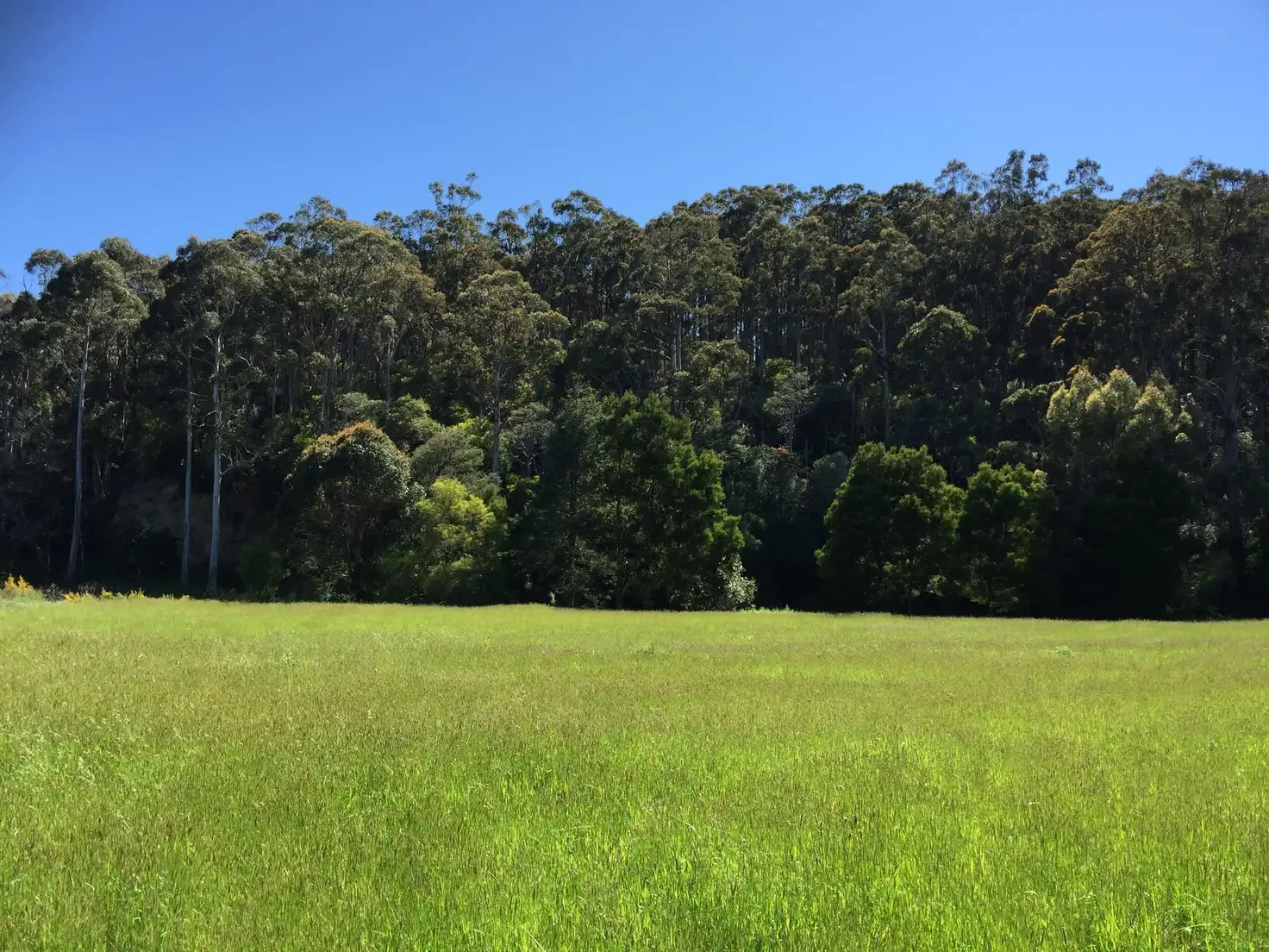 Main view of Homely land listing, 40 Arve Road, Geeveston TAS 7116