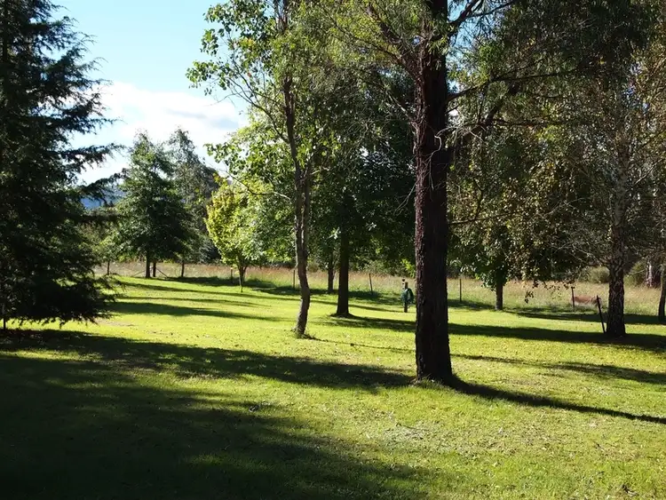 Sixth view of Homely house listing, 903 Great Alpine Road, Freeburgh VIC 3741