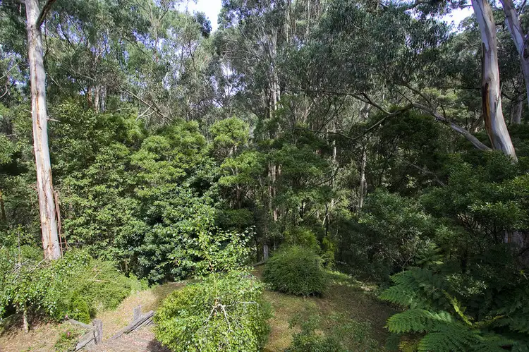 Fifth view of Homely house listing, 43 Riverside Drive, Wye River VIC 3221