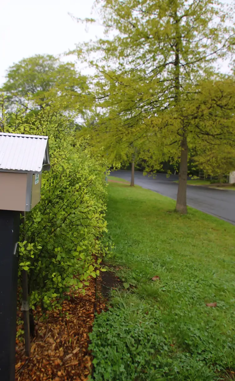 Second view of Homely house listing, 4 Ardross Avenue, Bundanoon NSW 2578