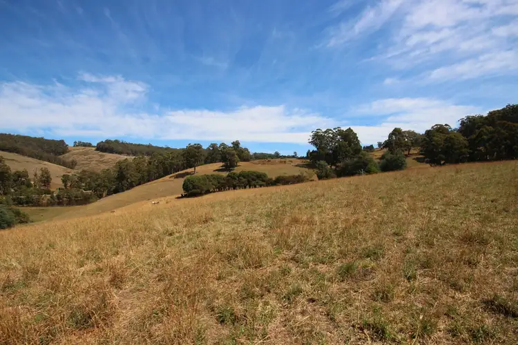 Fifth view of Homely land listing, 141100/4 Wallace Road, Cygnet TAS 7112