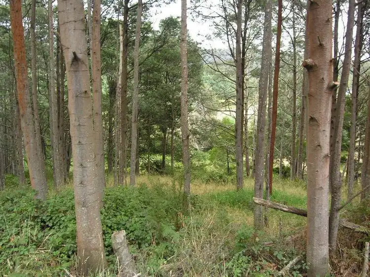 Second view of Homely land listing, Lot 1 Huon Highway, Surges Bay TAS 7116