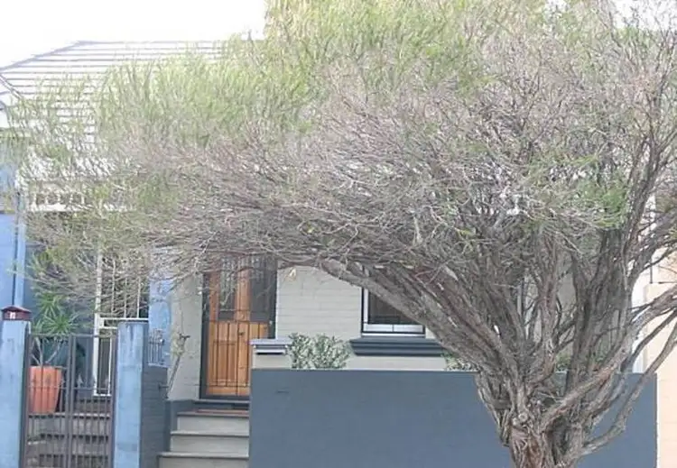 4 Walter Street, Bondi Junction NSW 2022