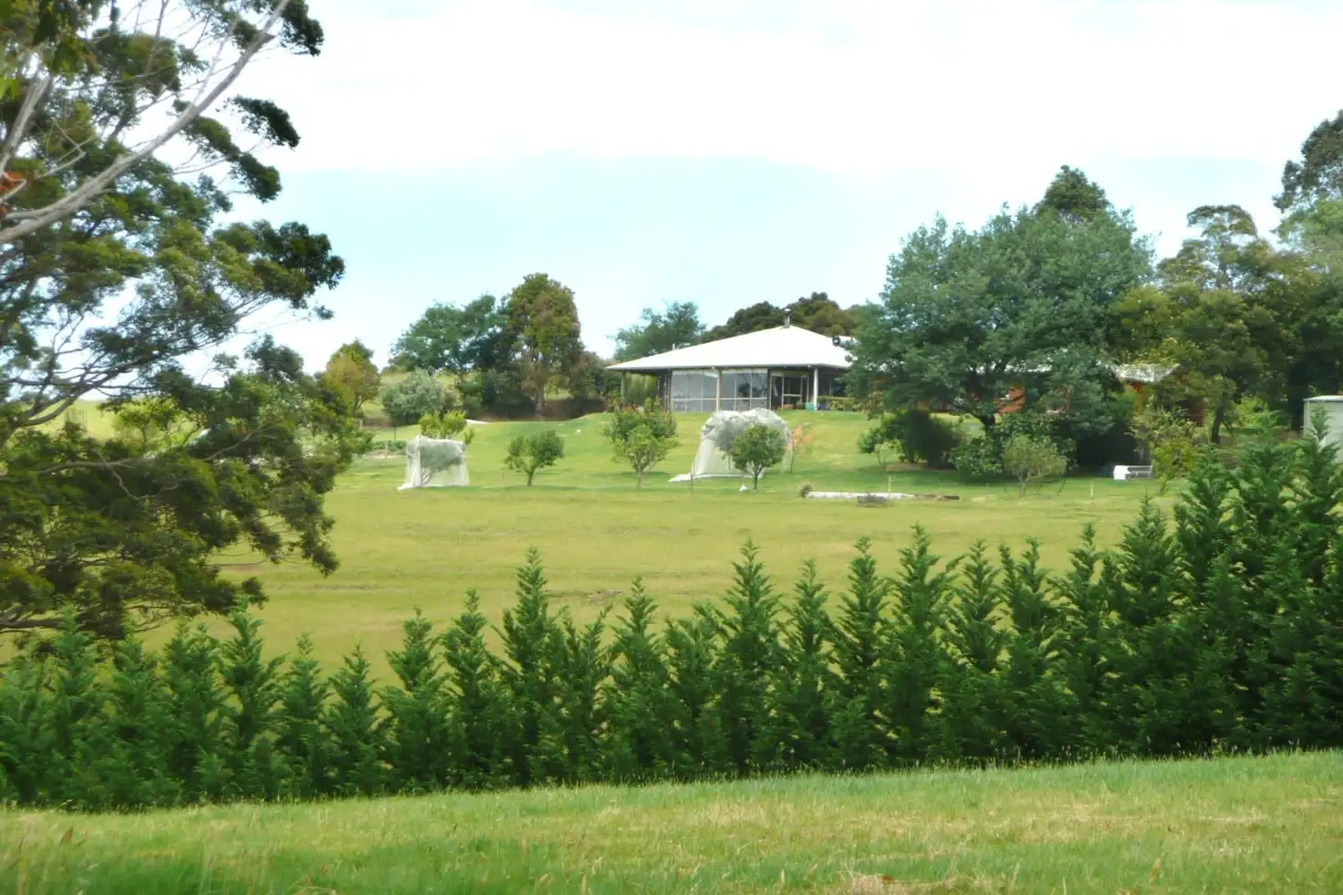 Main view of Homely house listing, 28 Pittam Way, Denmark WA 6333
