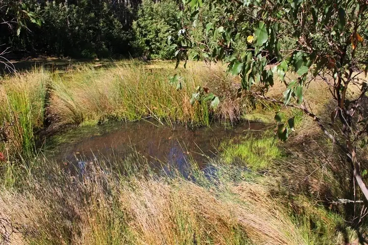 Seventh view of Homely land listing, Lot 2 Roberts Road, Kaoota TAS 7150