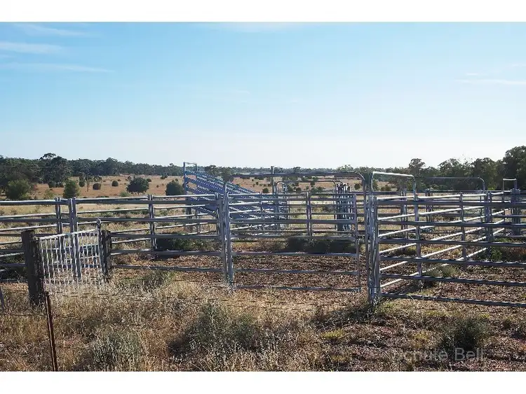 Sixth view of Homely rural property listing, Address available on request