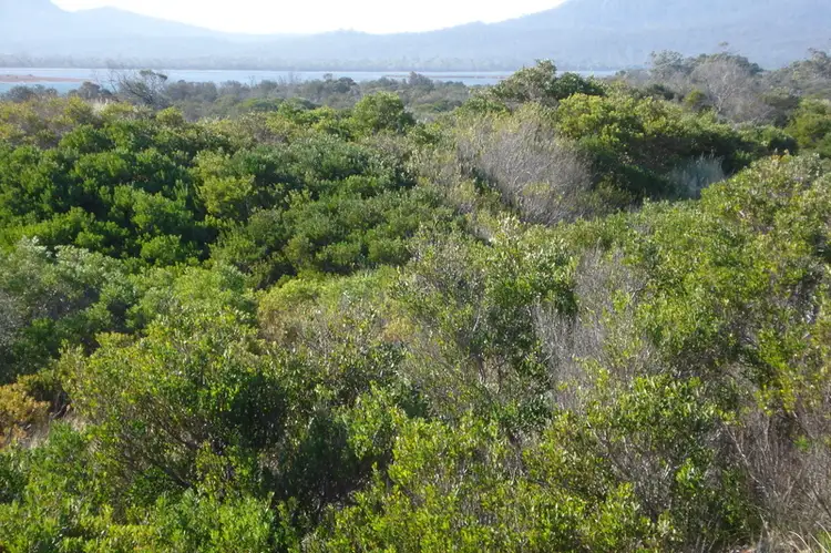 Fifth view of Homely land listing, 8 Yellow Sand Banks Rd, Dolphin Sands TAS 7190