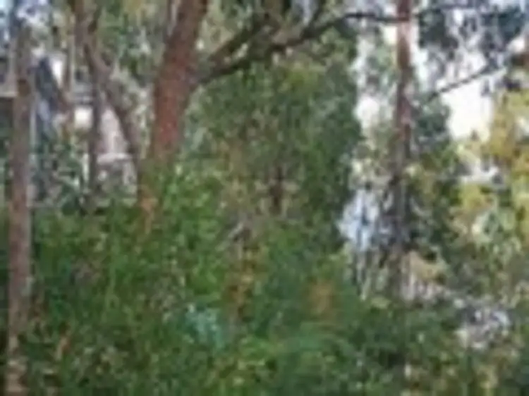 Fifth view of Homely land listing, 21 Durimbil Avenue, Wye River VIC 3221
