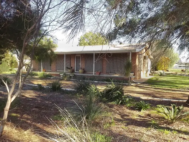 Main view of Homely house listing, 176 Temoin St, Narromine NSW 2821