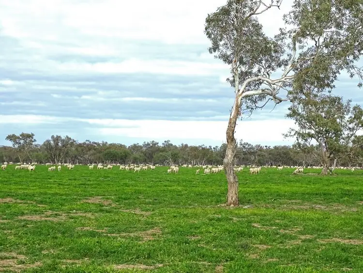 Second view of Homely rural property listing, - Coolaburra, Brewarrina NSW 2839