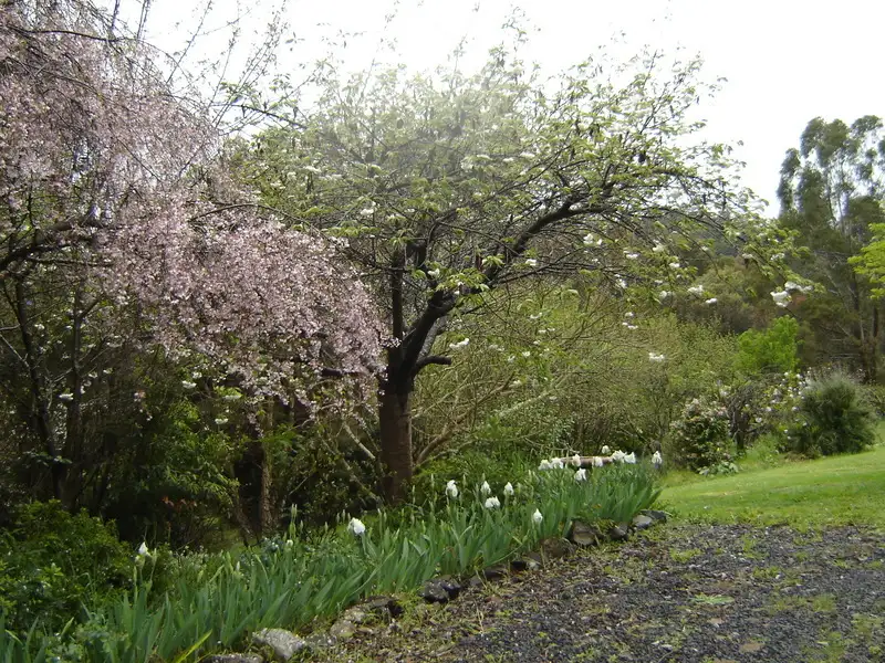 Main view of Homely rural property listing, 2 [Lot 8 and Lot A] Carolyn Court, Traralgon South VIC 3844
