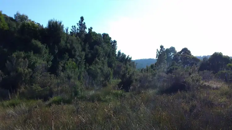 Seventh view of Homely land listing, Lot 9 Harrison Street, Strahan TAS 7468