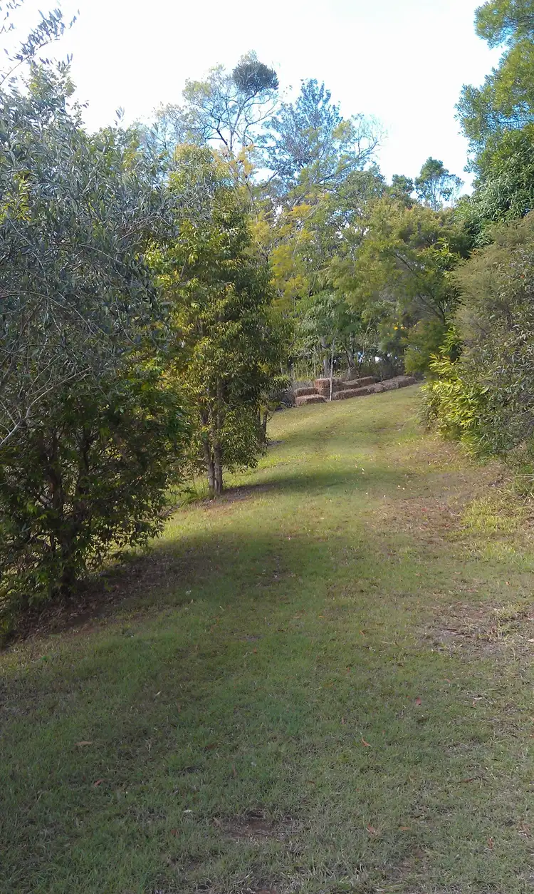 Main view of Homely rural property listing, 304 Candle Mountain Drive, Peachester QLD 4519