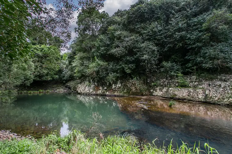 Third view of Homely rural property listing, 1468 Eltham Road, Teven NSW 2478