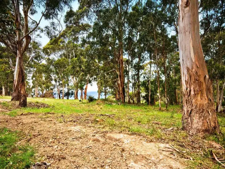 75 Old Coach Road, Apollo Bay VIC 3233