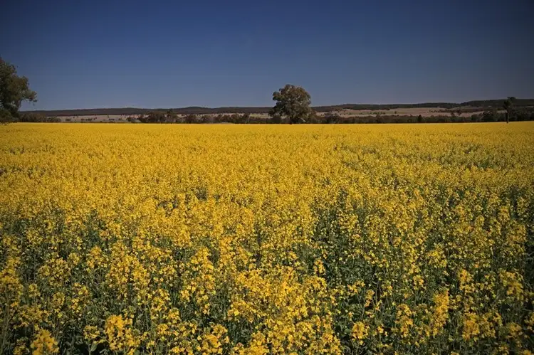 Address available on request