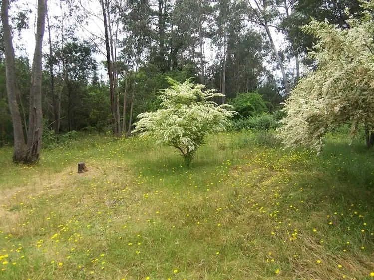 Sixth view of Homely house listing, 111 Delany Ave, Bright VIC 3741