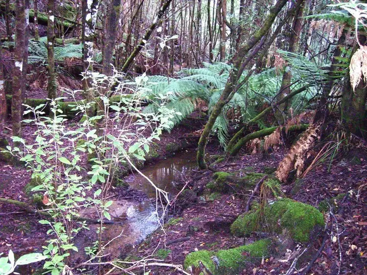 Fifth view of Homely land listing, Lot 1 Waggs Gully Road, Ranelagh TAS 7109