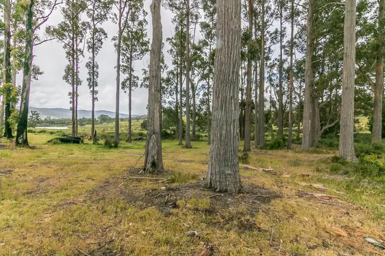 Fifth view of Homely land listing, 1907 Cygnet Coast Road, Cradoc TAS 7109