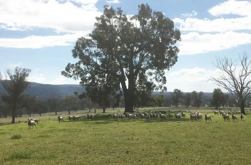 Main view of Homely rural property listing, Address available on request