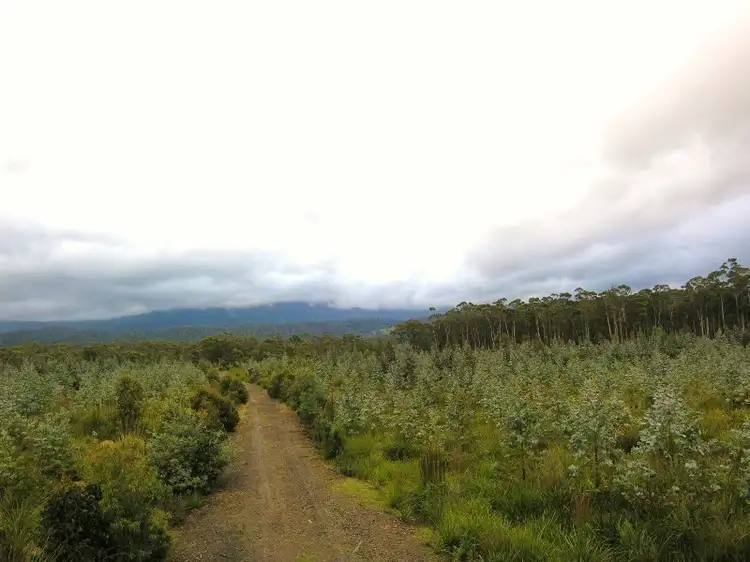 Fourth view of Homely land listing, Lot 1 Off Mount Barrow Road, Nunamara TAS 7259