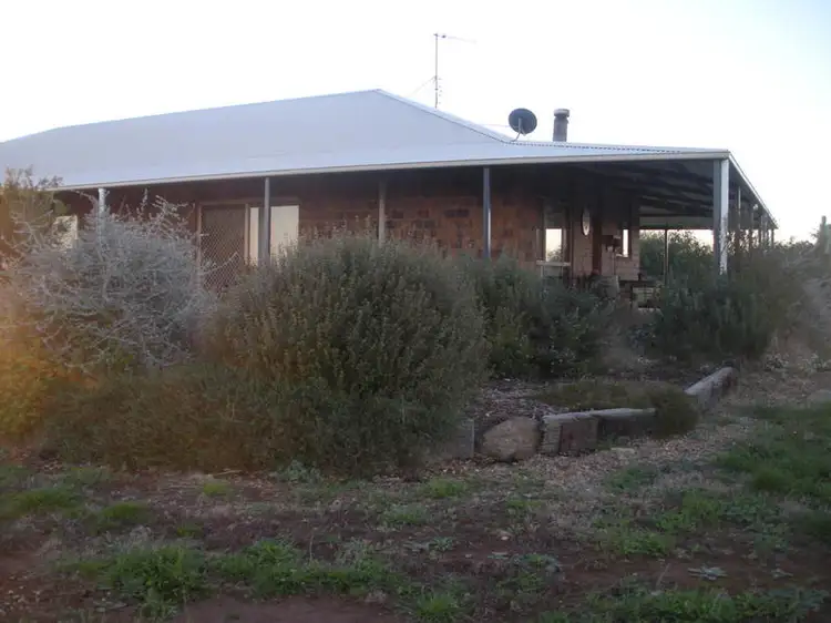 Main view of Homely house listing, 603 Springcreek Rd, Young NSW 2594