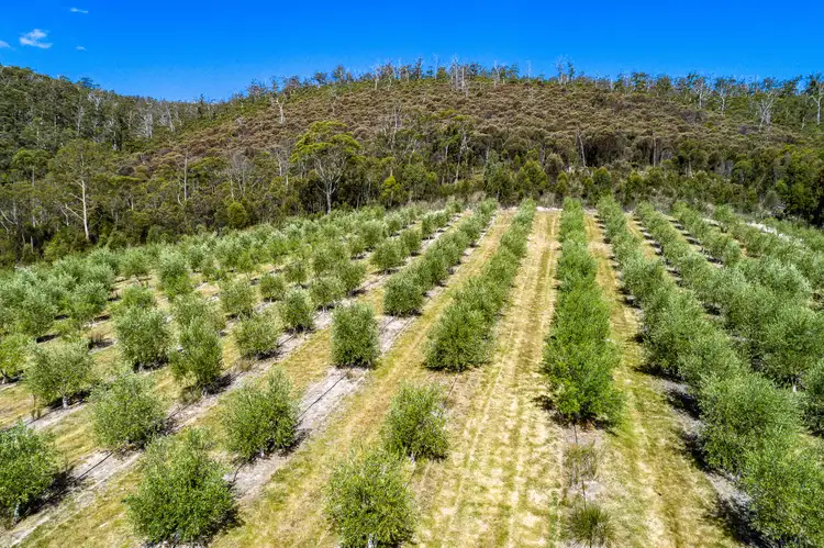 Fifth view of Homely land listing, 8926 Channel Highway, Huonville TAS 7109
