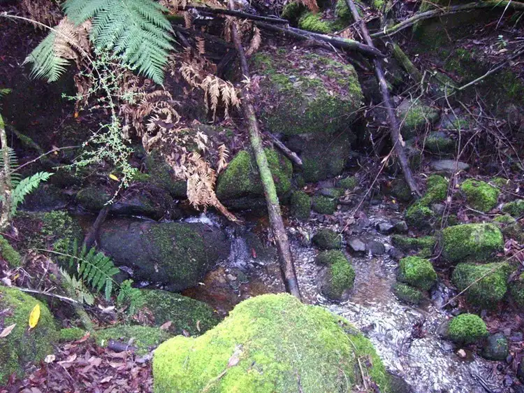 Second view of Homely land listing, Lot 1 Waggs Gully Road, Ranelagh TAS 7109