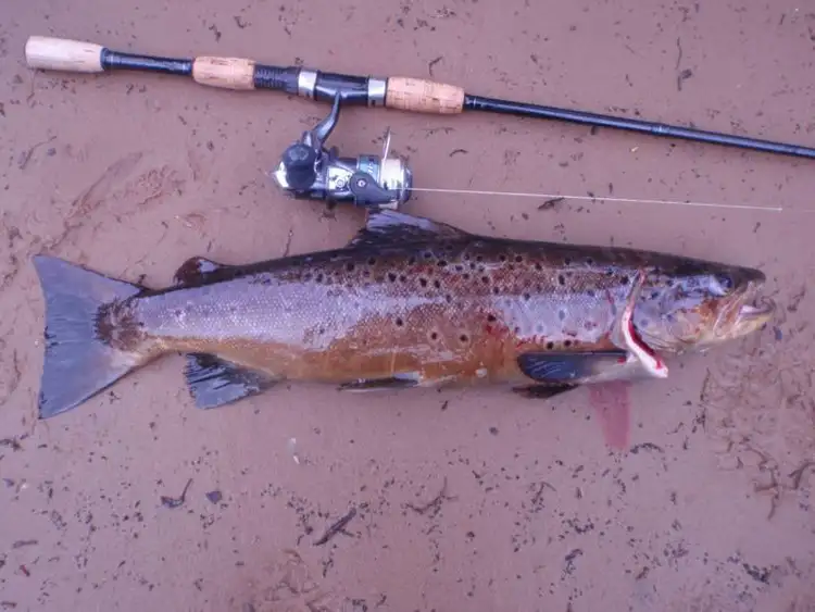 Sixth view of Homely land listing, 55 North Huon Road, Ranelagh TAS 7109