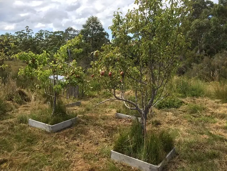 Fifth view of Homely land listing, 216 Lune River Road, Lune River TAS 7109