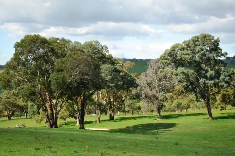 Main view of Homely land listing, Willapines Molong Road, Orange NSW 2800