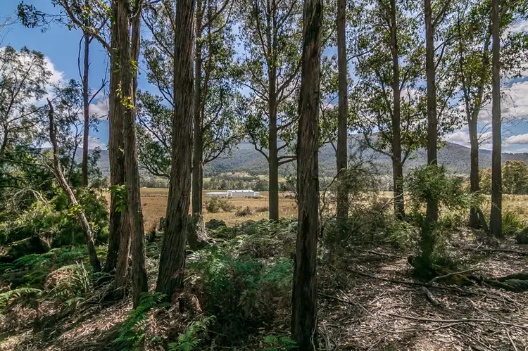 Seventh view of Homely land listing, 767 Lonnavale Road, Lonnavale TAS 7109