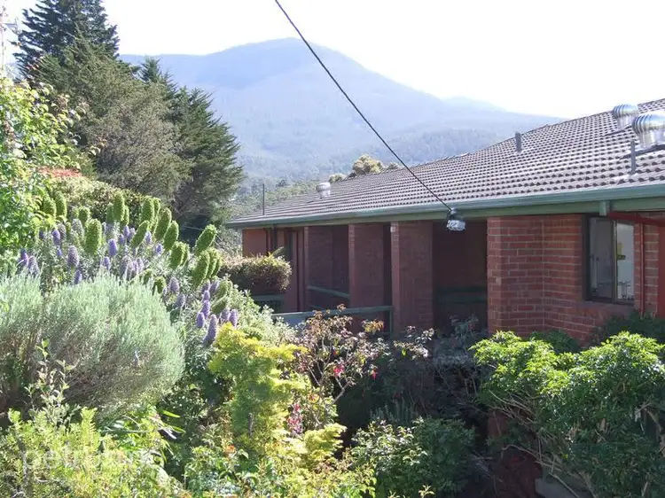 5/2 Ingram Street, South Hobart TAS 7004