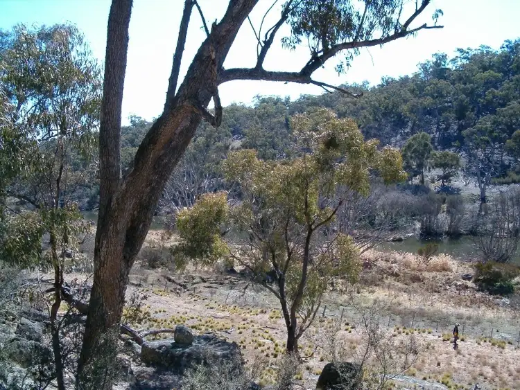 Seventh view of Homely rural property listing, Lot 3 Ironmungie Road, Dalgety NSW 2628