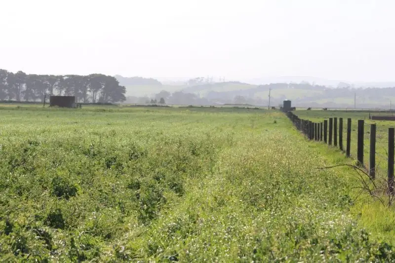 Main view of Homely rural property listing, 1860 Main Drain Road, Vervale VIC 3814